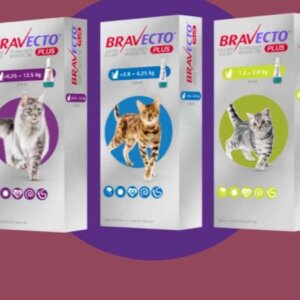 BRAVECTO PLUS GATO 112.5 MG VERDE