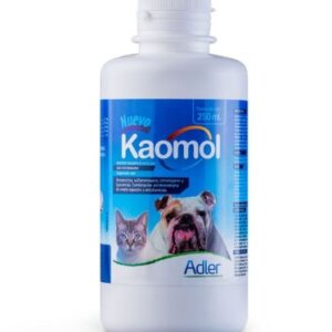 KAOMOL 100ML ANTIDIARREICO