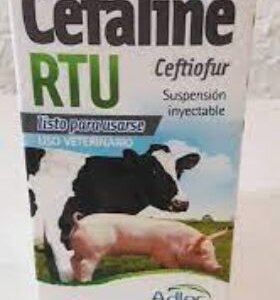 CEFALINE RTU