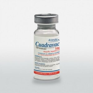 VACUNA CUADRAVAC 1 mL