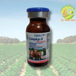 COMPLEJO B REFORZADO 10 ML
