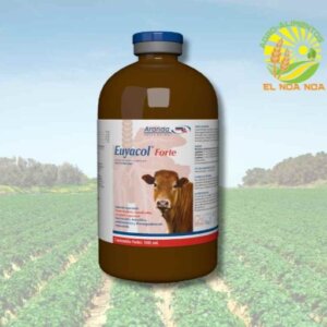 EUYACOL FORTE 100 ML ANTIHISTAMINICOESPECTORANTE+DESCONGESTIONANTE RESP