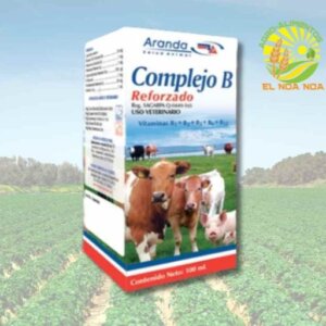 COMPLEJO B REFORZADO