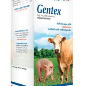 GENT-MAX 100 ML