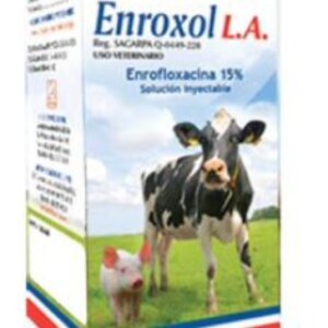 ENROXOL L.A. 100 ML
