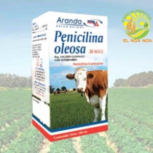 PENICILINA OLEOSA 100 mL
