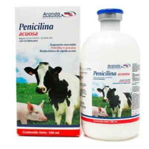PENICILINA ACUOSA