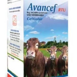 AVANCEF RTU