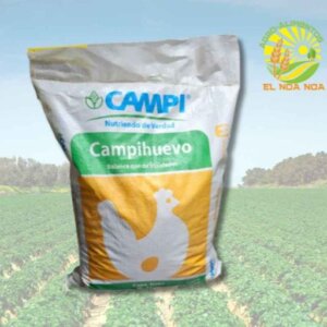 HUEVO DESARROLLO MOSTRADOR