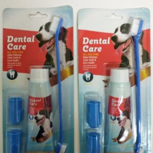 KIT DE HIGIENE DENTAL CARE .