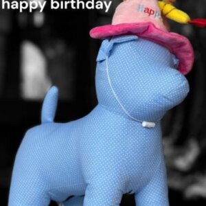 SOMBRERO HAPPY BIRTHDAY ROSA O AZUL PARA MASCOTAS