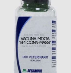 B1 CONN MASS 1,000 Ds