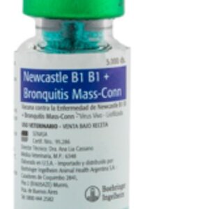 B1 CONN MASS 5,000 Ds