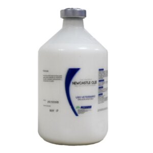 NEWCASTLE CLIE 500 Ml