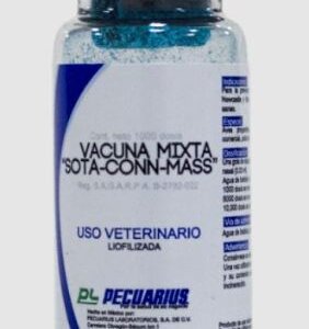 SOTA CONN-MASS 1,000 Ds