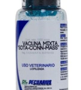 SOTA CONN-MASS 5,000 Ds