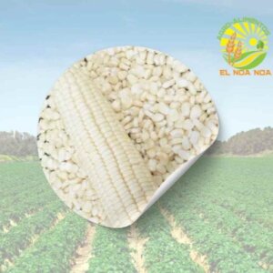 MAIZ BLANCO 1 KG (PROPIA)