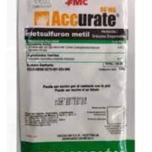 ACCURATE 60 WG DE 10 GR