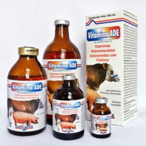 ADE  +VITAMINICO RECONSTITUYENTE+ DE 100ML BIOFARMEX