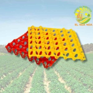 FILLER 30 HUEVOS CHAROLA PARA HUEVO