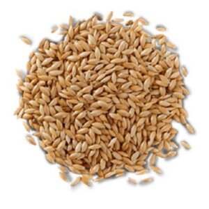 ALPISTE NATURAL DE MEDIO KILO .500GM