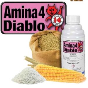 AMINA 4 DIABLO DE LT