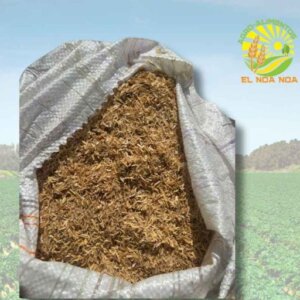 CASCARILLA DE ARROZ SUSTRATO PARA GRANJAS