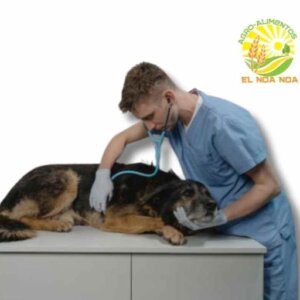 ASESORIA MEDICO VETERINARIA