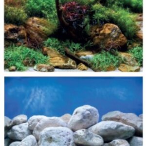 RESPALDO IMPORTADO 2 VISTAS 15MTS X 60CM