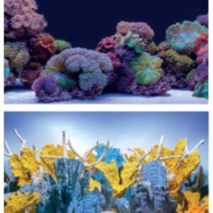 RESPALDO IMPORTADO 2 VISTAS 15MTS X 30CM