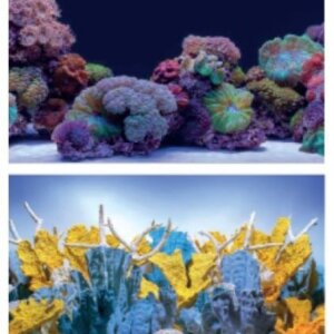 RESPALDO IMPORTADO 2 VISTAS 15MTS X 48CM