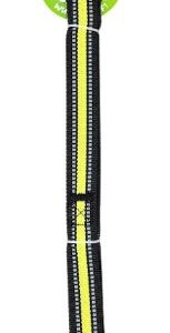 CORREA  PARA PERRO VERDE CON REFLEJANTE DE 1´ X 1.5MTS REFORZADA