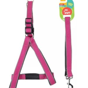 CORREA Y PECHERA  PARA PERRO FIUSHA