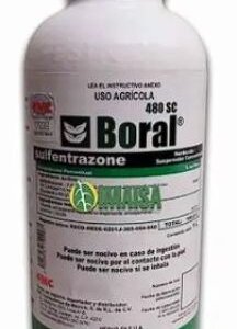 BORAL 480 SC DE 1 LT