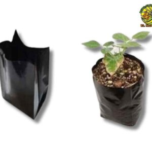 BOLSA INJERTO DE 9+8 X 17 CMS  X KILO