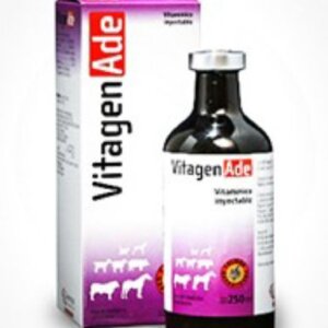 VITAGEN ADE + COMPLEJO B