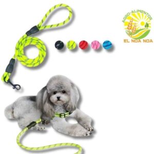CORRE DE PASEO COLORES NEON DE 120 CMS