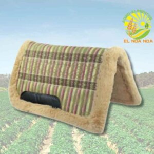 CARONA CON BORREGA ABORREGADA GR