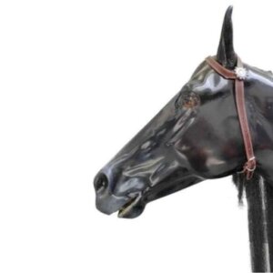 CABEZADA PIEL CON CHAPETONES UNITALLA