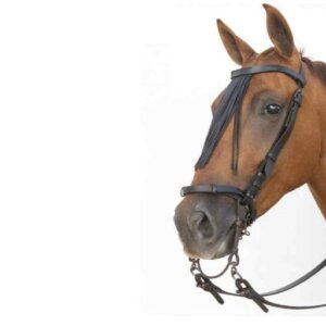 CABEZADA DE FRENTE PIEL GR