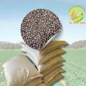 CILANTRO CAMPESINA SEMILLA EL NOA NOA BULTO DE 25KG