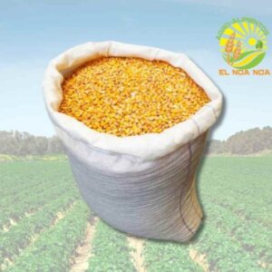 CAMPIXIM MAIZ AMARILLO CAMPECHE BULTO DE 50KGS