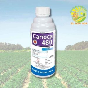 CARIOCA 950 ML