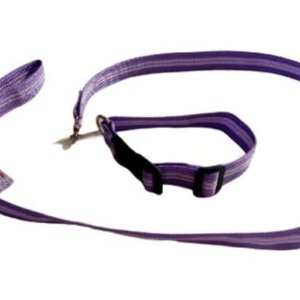 CORREA CON COLLAR RAYADA MEDIANA * LAES