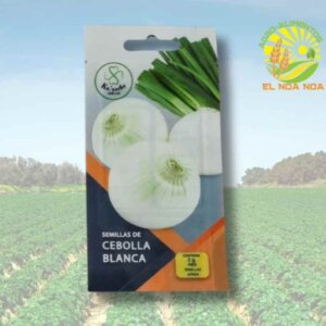 SEMILLA DE CEBOLLA BLANCA EN SOBRE MARCA KAANCHE