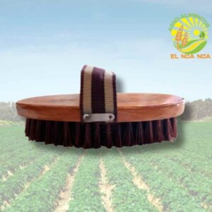 CEPILLO PARA CABALLO DURO CON ASA