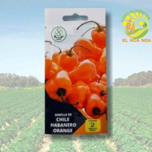 SEMILLA CHILE HABANERO  ORANGE SOBRE KAANCHE 2GRS