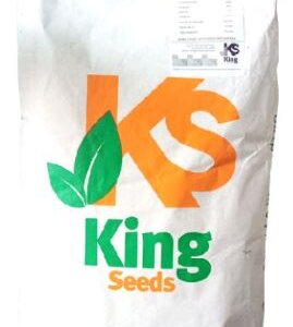 CILANTRO MARROQUI WESTAR * KG SEMILLA QUEBRADA