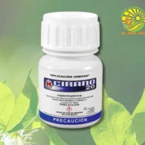 CIRANO 20% TRIDENTE DE