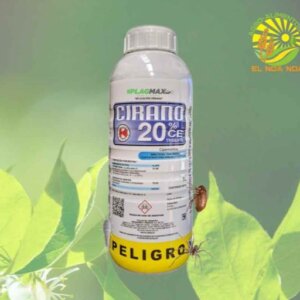 CIRANO 20% CE TRIDENTE DE LT